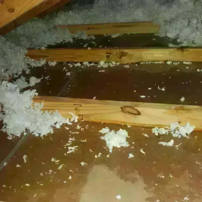 Attic Water Damage in Canby, MN