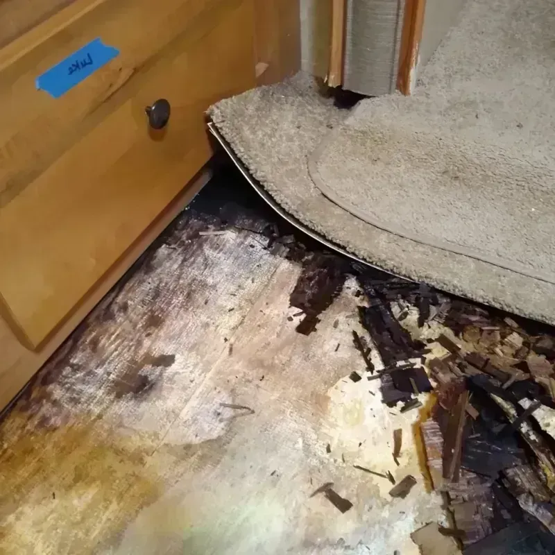 Wood Floor Water Damage in Canby, MN